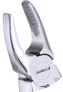 Extracting Forceps Klein Upper Incisors 10cm