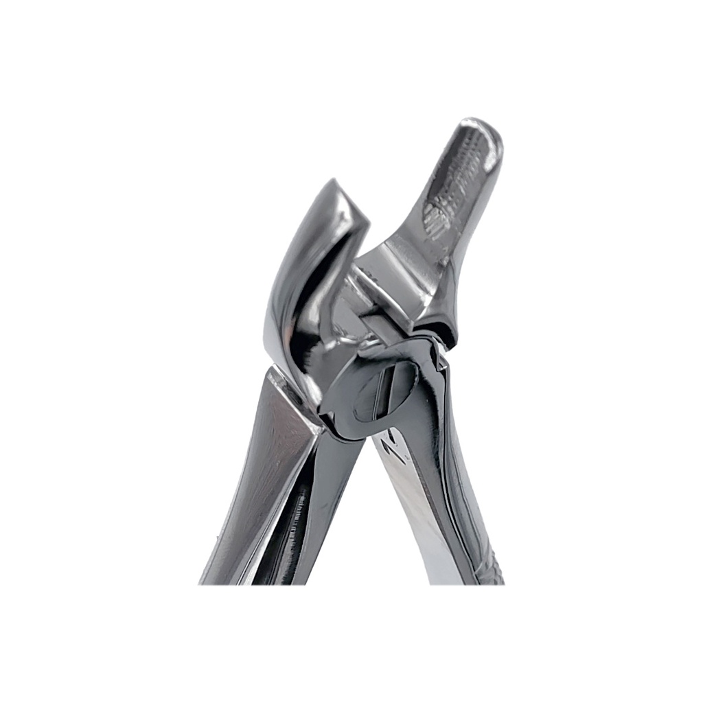 Extracting Forceps for Junior - Fig. 7 Upper Premolars