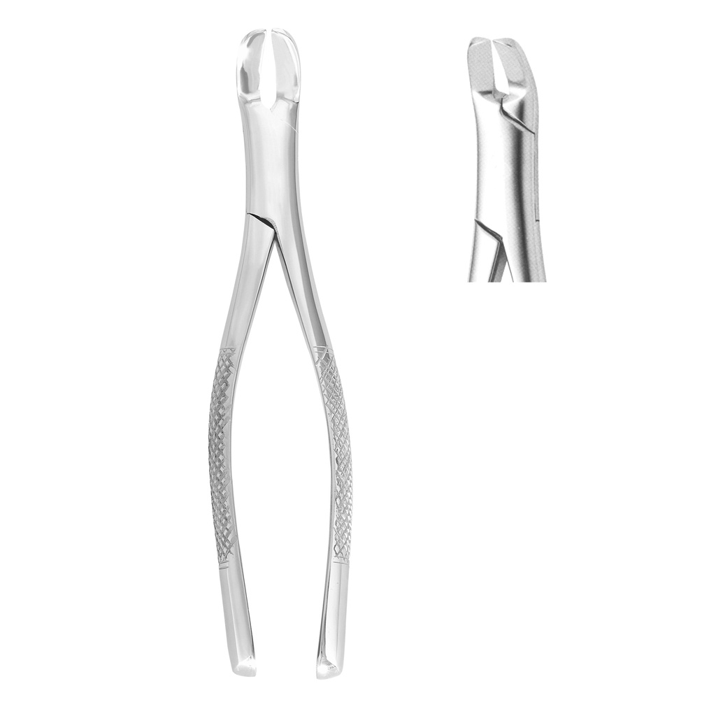 Extracting Forceps (American Pattern) Fig.6 For Separating Lower Molars