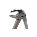 Extracting Forceps for Junior - Fig. 33 A Lower Roots