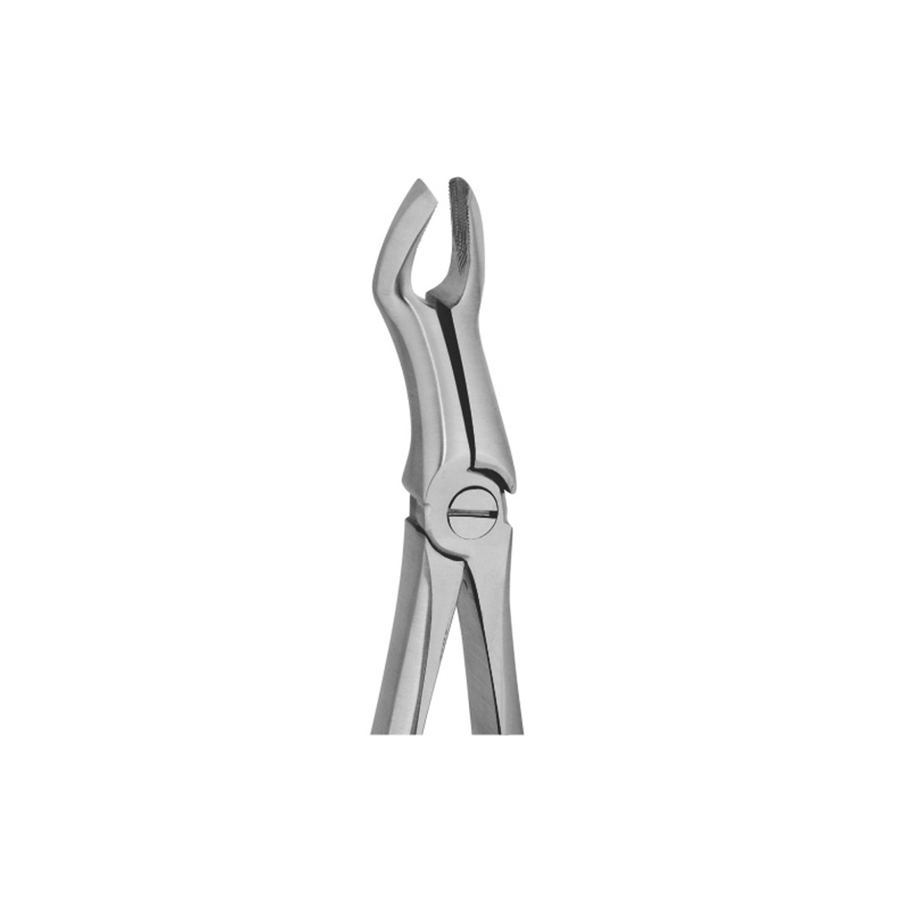 Fig.67 Upper Third Molars 18cm