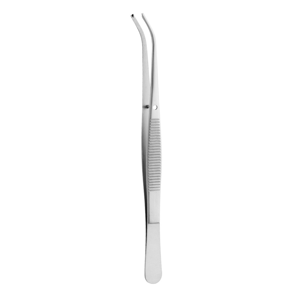 Semken-Taylor Curved 1:2 Teeth 12cm