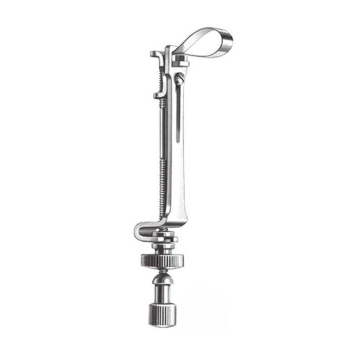 Ivory, Matriceholder