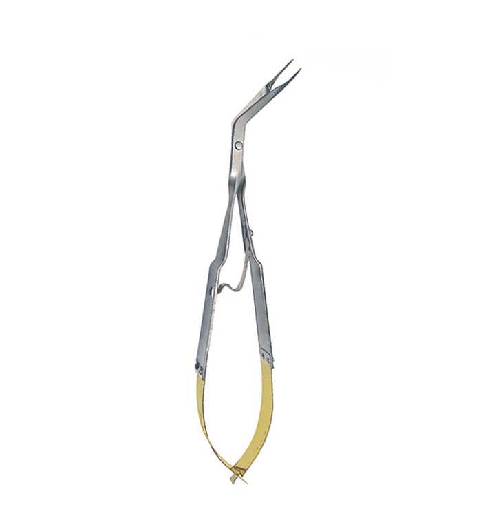 Steiglitz Endo File Forceps 75° 