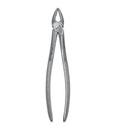 Extracting Forceps for Junior - Fig. 29 Upper Roots