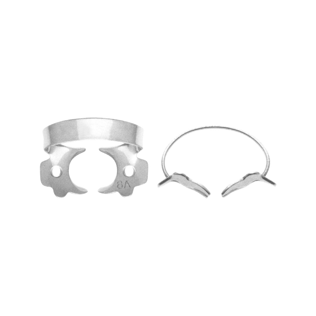 Fig.8A Deeply Festooned Jaws Grasps Root at Corners Tooth: 1-2-3-14-15-16-17-18-19-30-31-32