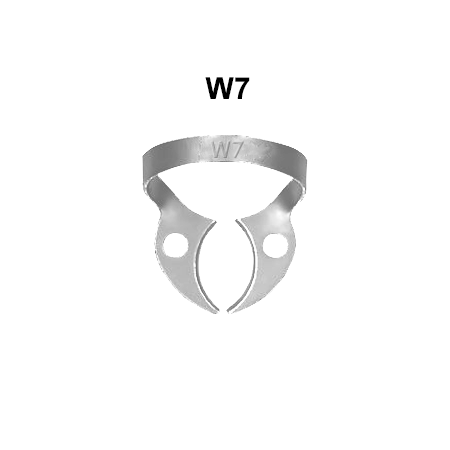 Lower jaw molars clamps: W7 (Rubberdam clamps)
