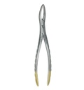 Extracting Forcep Fig. 98 Witzel