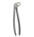 Extracting Forcep Fig. 23 Lower molars, right