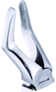 Extracting Forceps Klein Upper Roots 10cm