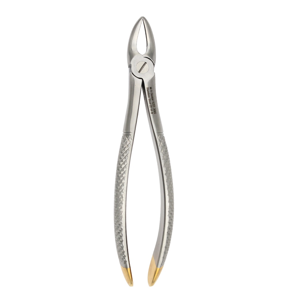 Lower molars