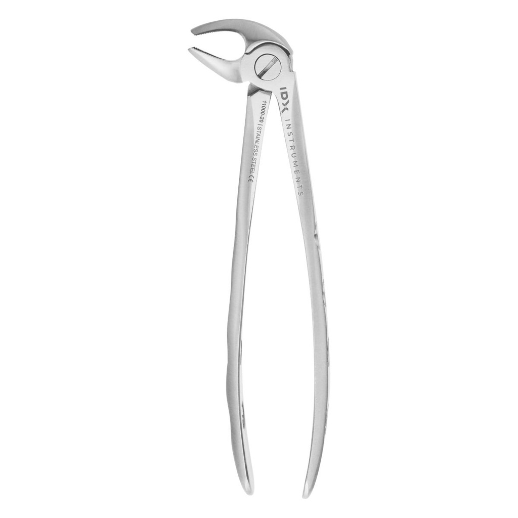 Fig.13S Lower Premolars for Children