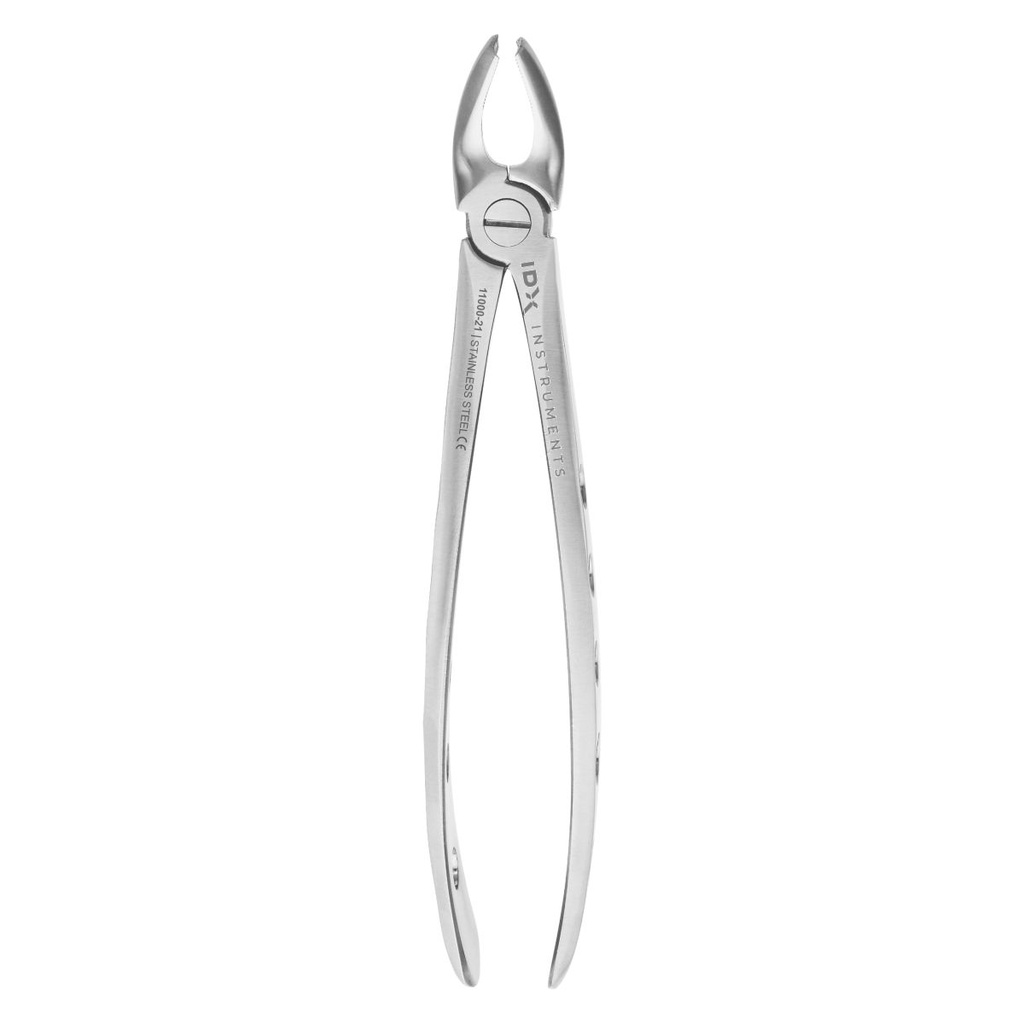 Fig.17 Upper Molars Right 16.5cm