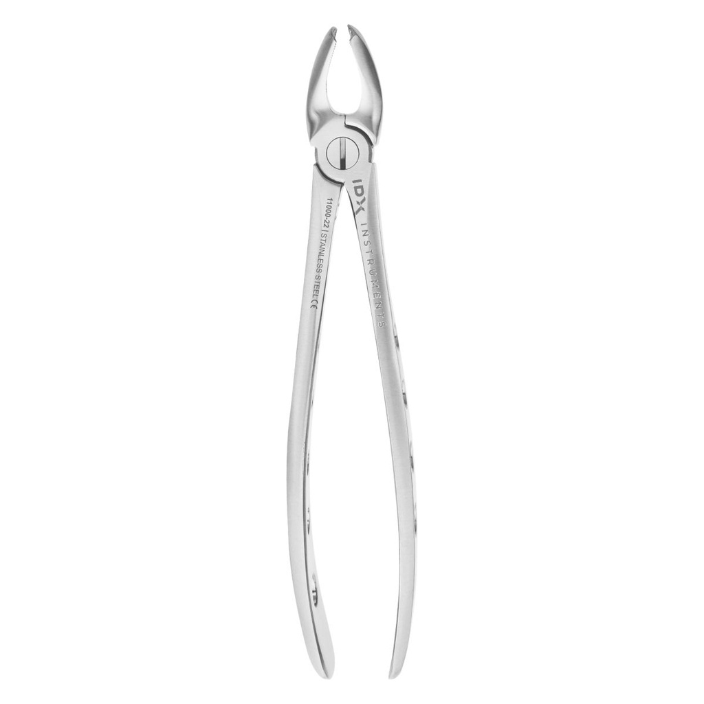 Fig.18 Upper Molars Left 16.5cm