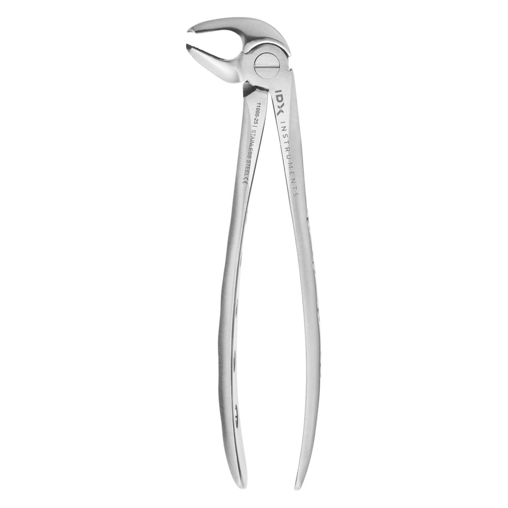 Fig.22 Lower Molars 16.5cm