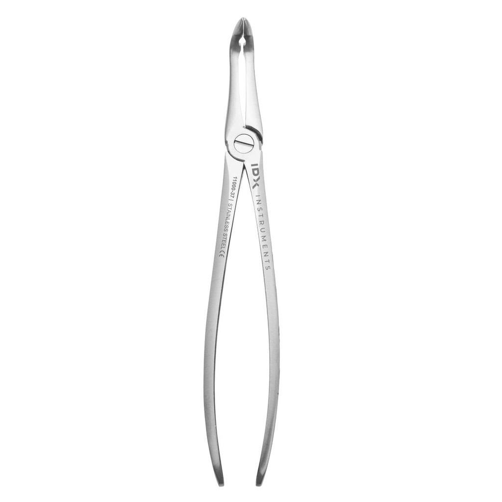 Fig.45M Lower Roots Gripping in Depth