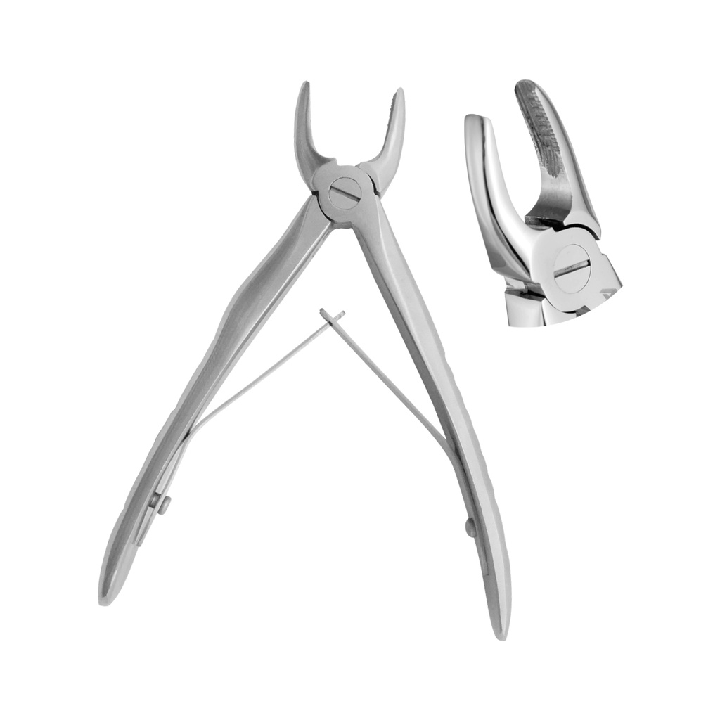 Extracting Forceps Anatomical Handle Klein Upper Incisors 10cm