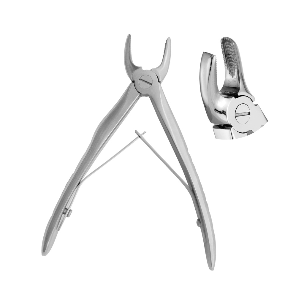 Extracting Forceps Anatomical Handle Klein Upper Premolars 10cm