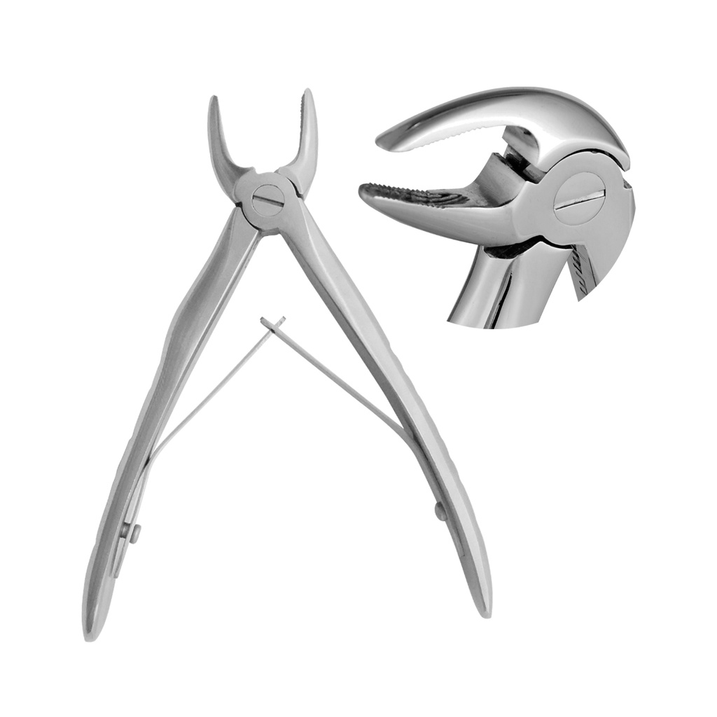 Extracting Forceps Anatomical Handle Klein Lower Incisors 10cm