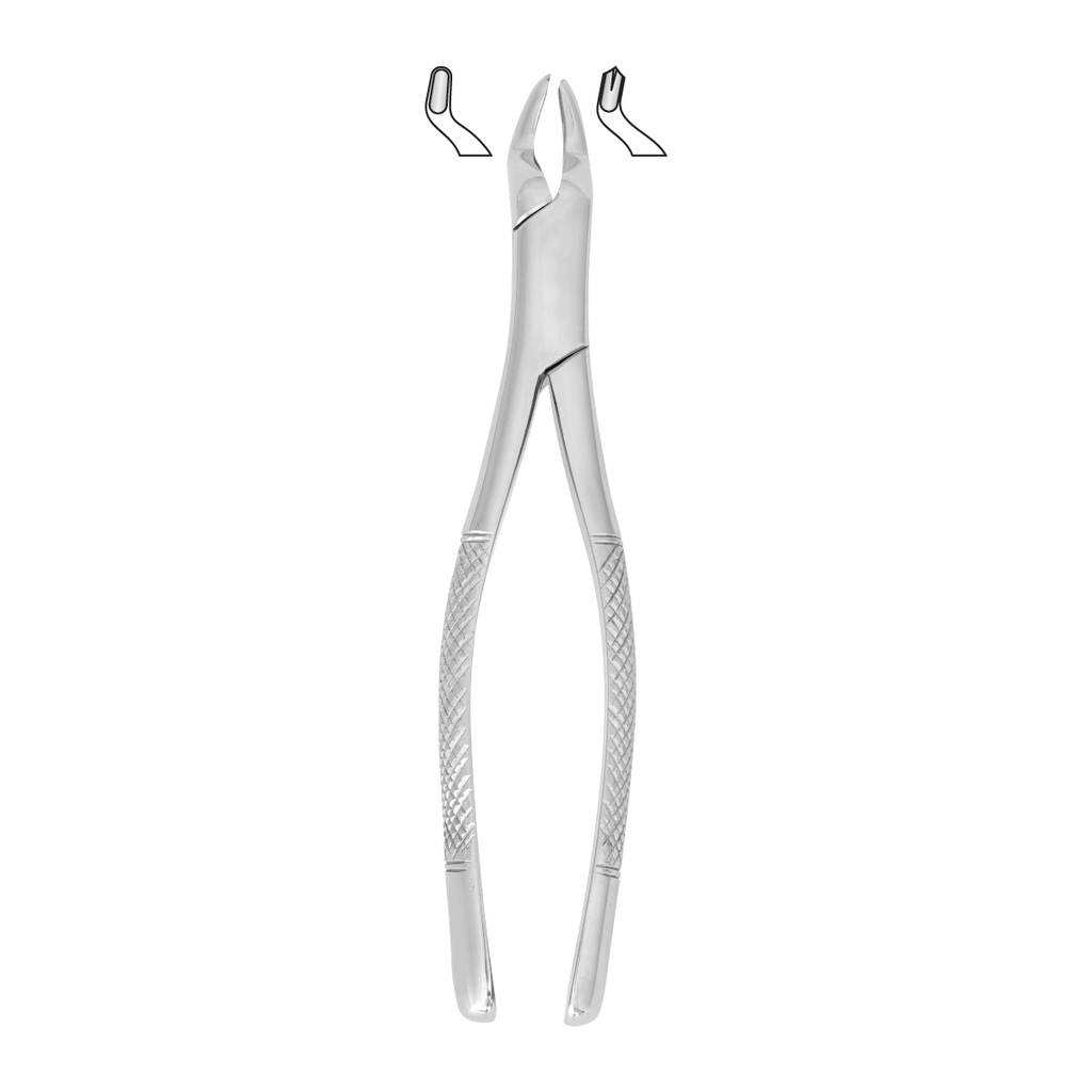 Extracting Forceps (American Pattern) Fig.53R Upper Molars Right