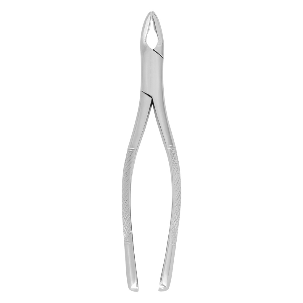 Extracting Forceps (American Pattern) Fig.203 Lower Incisors, Premolars and Roots, either side