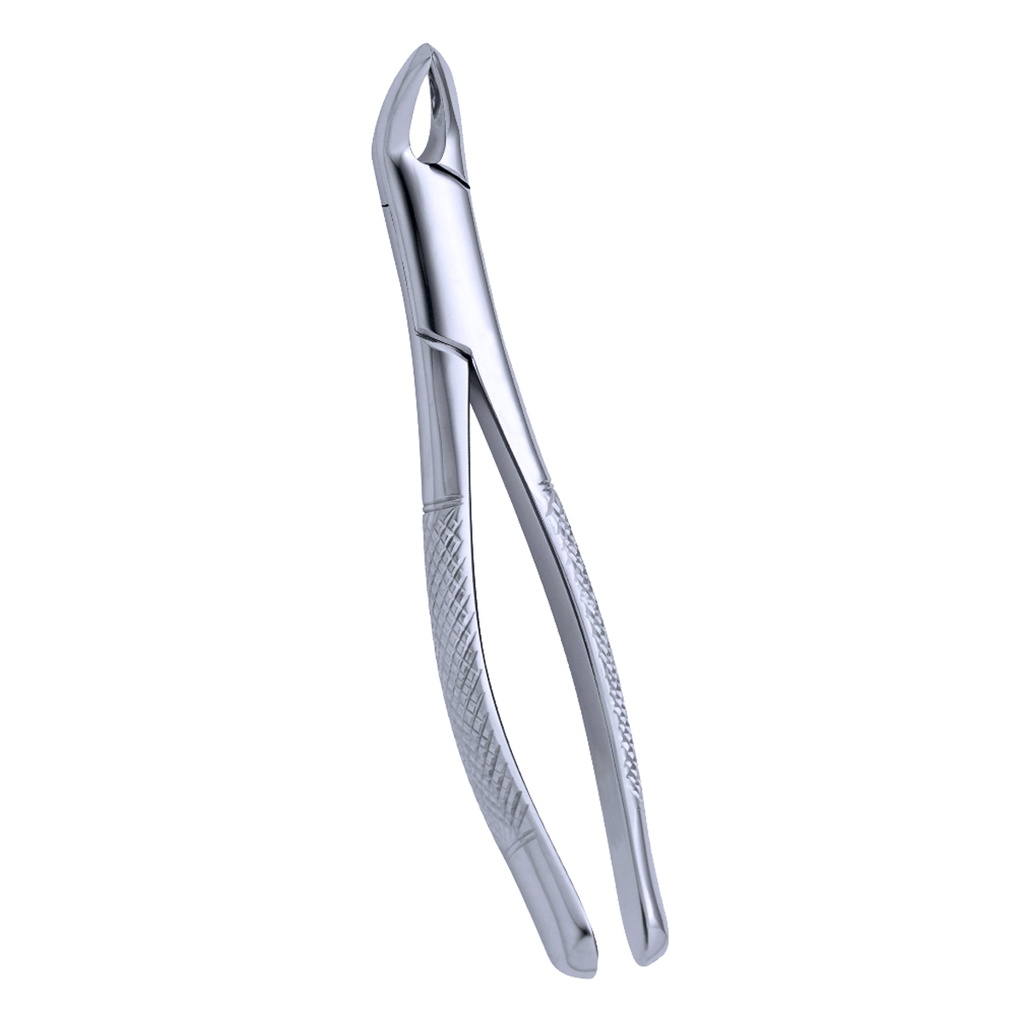 Extracting Forceps (American Pattern) Fig.5 Upper Incisors and Roots Children