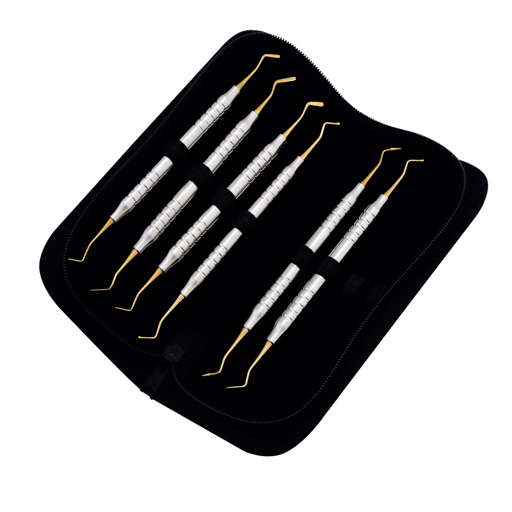 Composite Instruments Set of 6 10mm Hollow Handle Gold Plasma Leather Case
