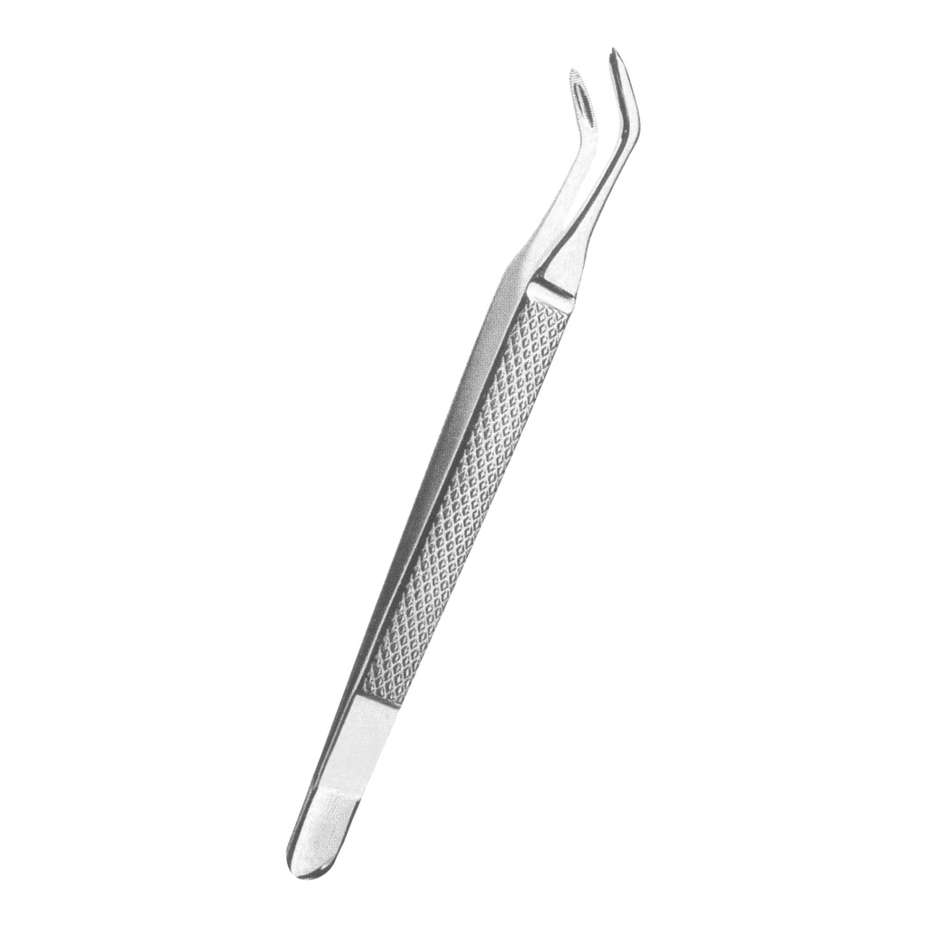 Albrecht Decidiuous Teeth Blunt