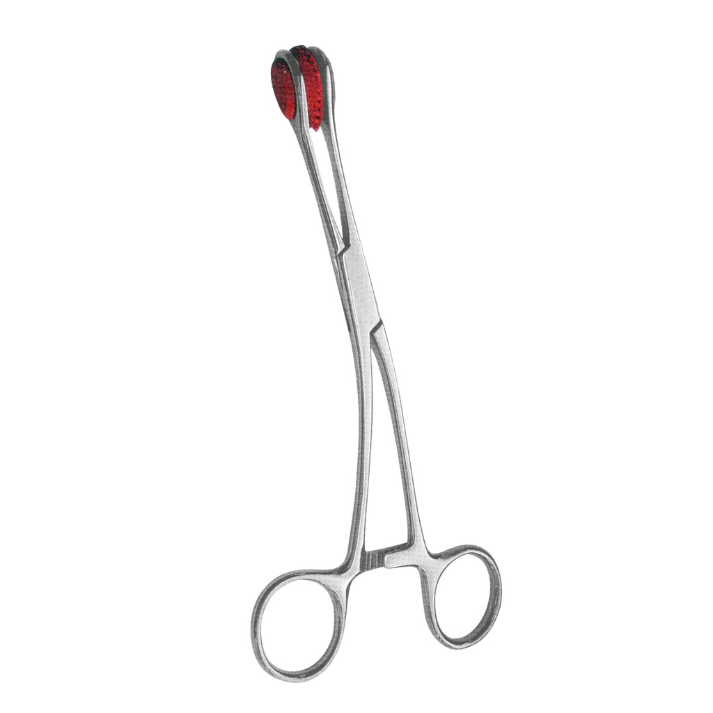 Young Tougue Seizing Forceps 16cm