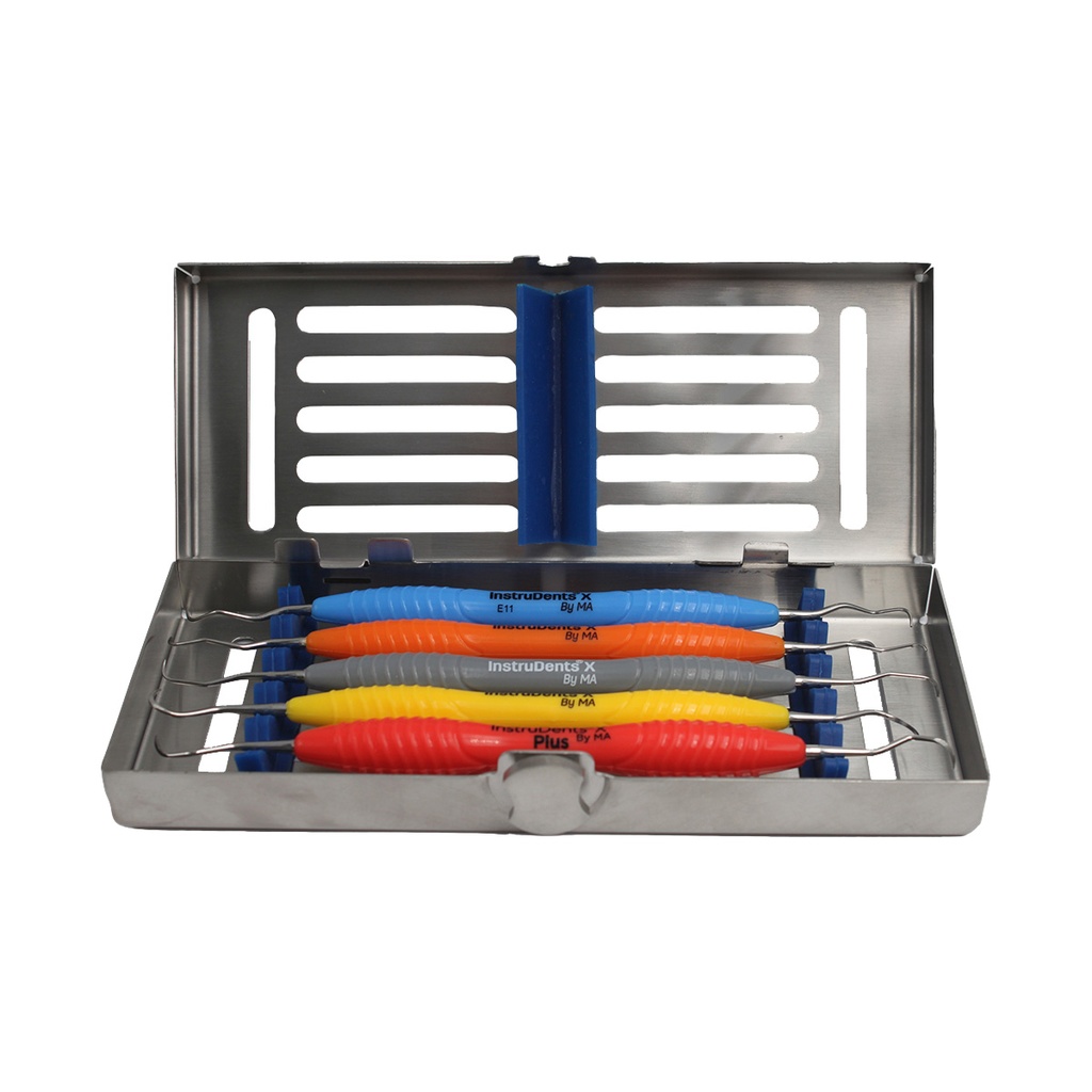 Basic Perio Set (w/h stainless cassette)