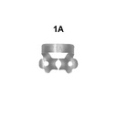 Premolars: 1A (Rubberdam clamps)