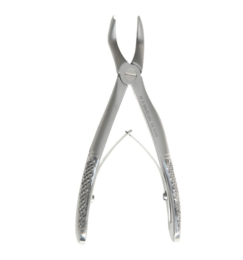 [510-3] Upper molar
