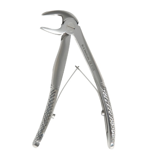 [510-5] Lower incisors