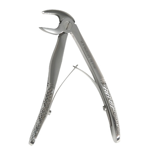 [510-6] Lower molar