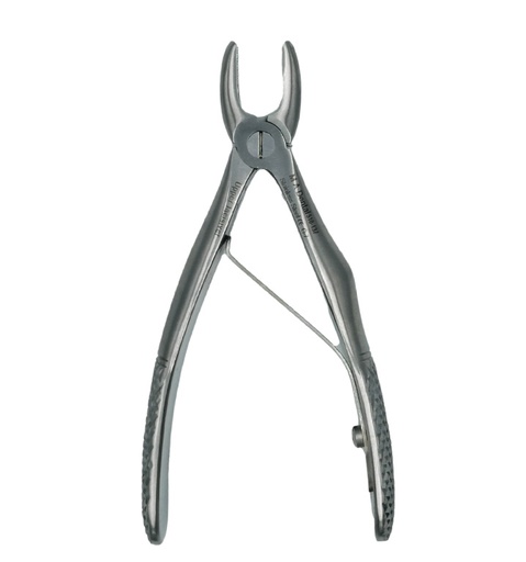 [510-137] Upper incisors