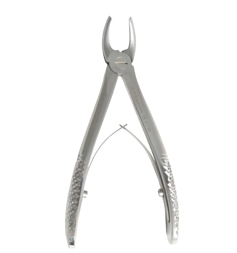 [510-139] Upper pre molar