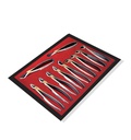 Extraction Forceps kit - 11pcs