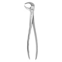 Fig.99 Lower Molars 15cm