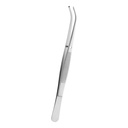 Semken-Taylor Curved 1:2 Teeth 12cm